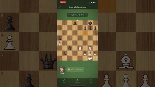 SOLVING CHESS PUZZLE Checkmate! (Removal of the Guard)