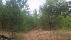 twitter gravel v3 по лесу