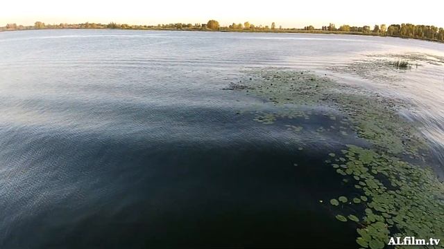 Сверху. Опасный полёт коптера. DJI Phantom