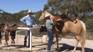 Jeff sanders talk on saddle fit