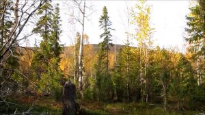 Архив. Фрагменты. 2019. Кольский полуостров. 16.01.24.