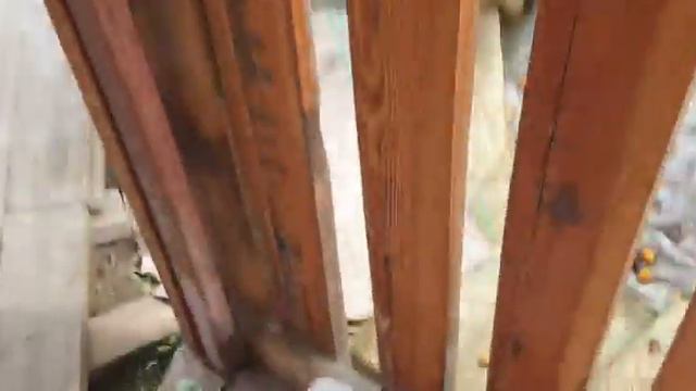 Урок ботаники. Часть 2 смотреть онлайн