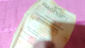 Динамик, акустика, динамическая головка 5ГДШ5-4. Лот 00020ВС