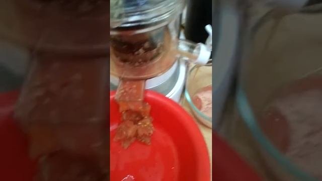 Соковыжималка шнековая Leran