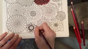 Claire Holoway Colouring - deep red dahlia tutorial - Ivy & the Inky Butterfly (Johanna Basford)