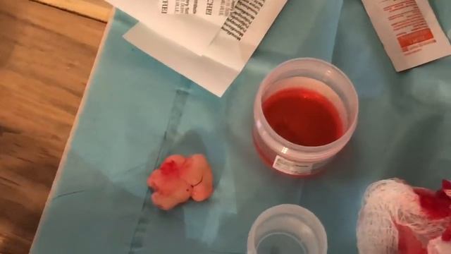 Stokes Family "Sunday  - Sunday" ep. 1 // Fiesta Baby Shower & Mr. Pimple Popper смотреть онлайн