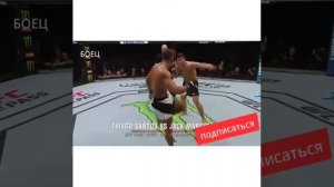 UFC. Удар ногой ( Уширо- Маваши-Гэри).Вертушка.