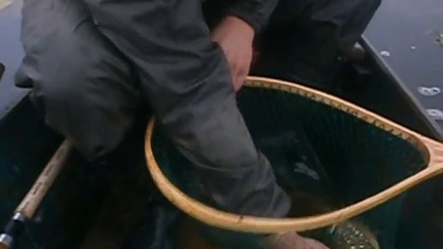 Рыбалка в Ровенской области