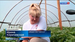 Все больше аграриев Адыгеи проявляют интерес к выращиванию клубники