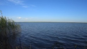 Рыбалка в Казахстане.Линь,карась на донку