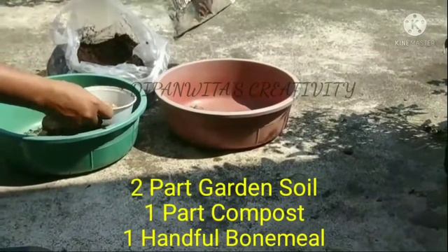 How to Grow Gladiolus #3 смотреть онлайн