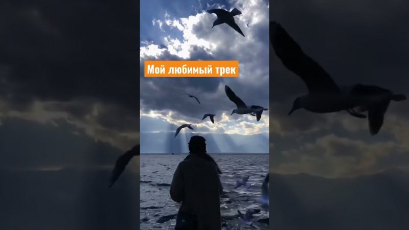 27 октября 2022 г.