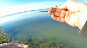 Варнавинское водохранилище, критически низкий уровень воды.