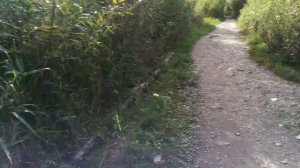 "писать хочу"