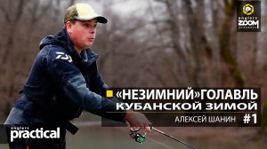 'Незимний' голавль кубанской зимой. Алексей Шанин. Часть 1. Anglers Practical