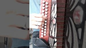 НАРОДНЫЕ НАИГРЫШИ на гармони Разбор песни.  Как научиться играть на гармони. Карим Муратов