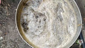 Органическая подкормка винограда. Дополнение