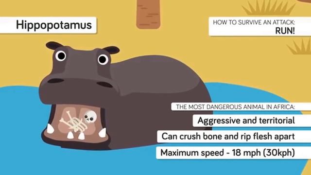 How to Pronounce Hippopotamus (Real Life Examples!) смотреть онлайн