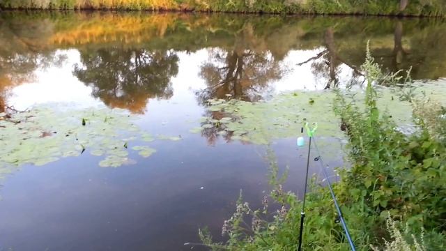 Выезд на реку Пахру с 05.08.2016 по 06.08.2016 (Кемпинг, рыбалка, ночевка) смотреть онлайн