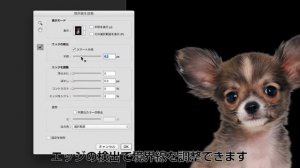 Photoshop CCの便利な新機能：焦点領域