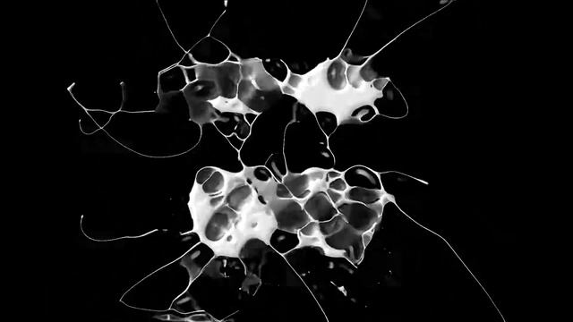 DJ Licious & Noski - Expecting (Original Mix) смотреть онлайн