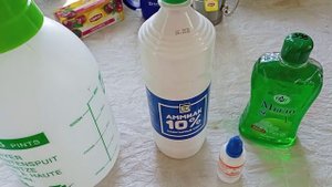 Борьба с насекомыми вредителями/Долгоносик/Тля/Муравьи/Листоед рапсовый