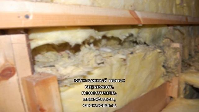 Грызут ли мыши монтажную пену? смотреть онлайн