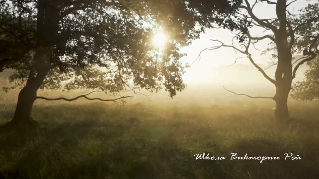 Медитация с Викторией Рэй Жизненные приоритетные цели смотреть онлайн