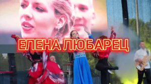 Елена Любарец - Презентация программы