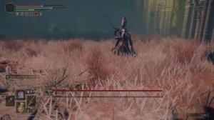 ELDEN RING-Nox Prince N Swordstress