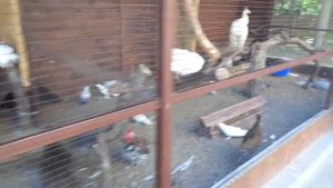 ФЕЯ 3 обзор, Анапа, июль 2018, часть 1 из 5.