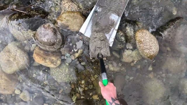 prospekcia zlata 2023 смотреть онлайн