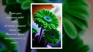 Ну, с Днём рождения, сынок! Елена Ваймер на слова Анны Бовель