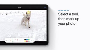 How to use Markup in Photos on iPhone, iPad, and iPod touch — Apple Support