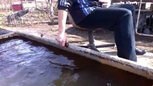 Работа квока с каплевидным пятаком #квок #clonk