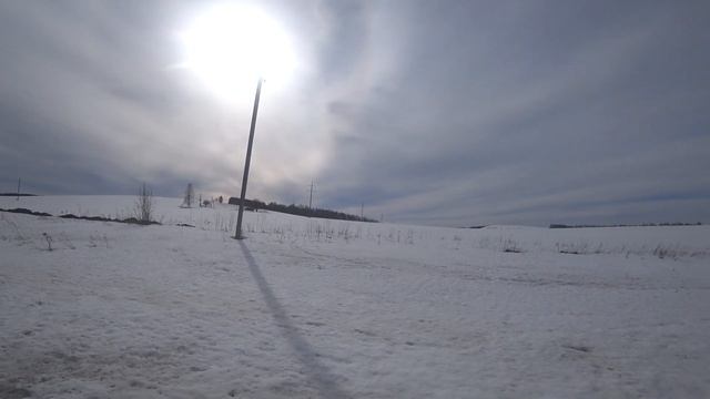 ПЧЁЛЫ ПОНЕСЛИ ПЕРВУЮ ПЫЛЬЦУ, А КРУГОМ ЛЕЖИТ СНЕГ