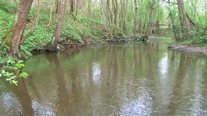 2014 Весенняя рыбалка на живописной речке Fishing on spring цреек