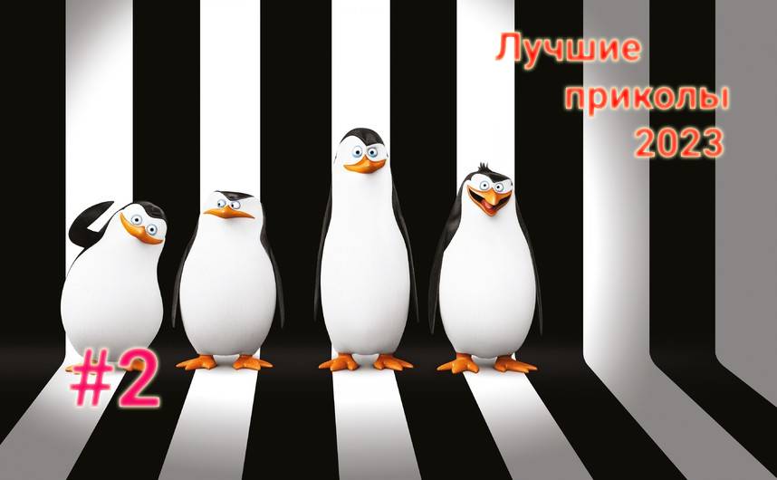 ?Лучшие  Приколы подборка #2 ?Приколы 2023 ?Смешные видео  #приколы