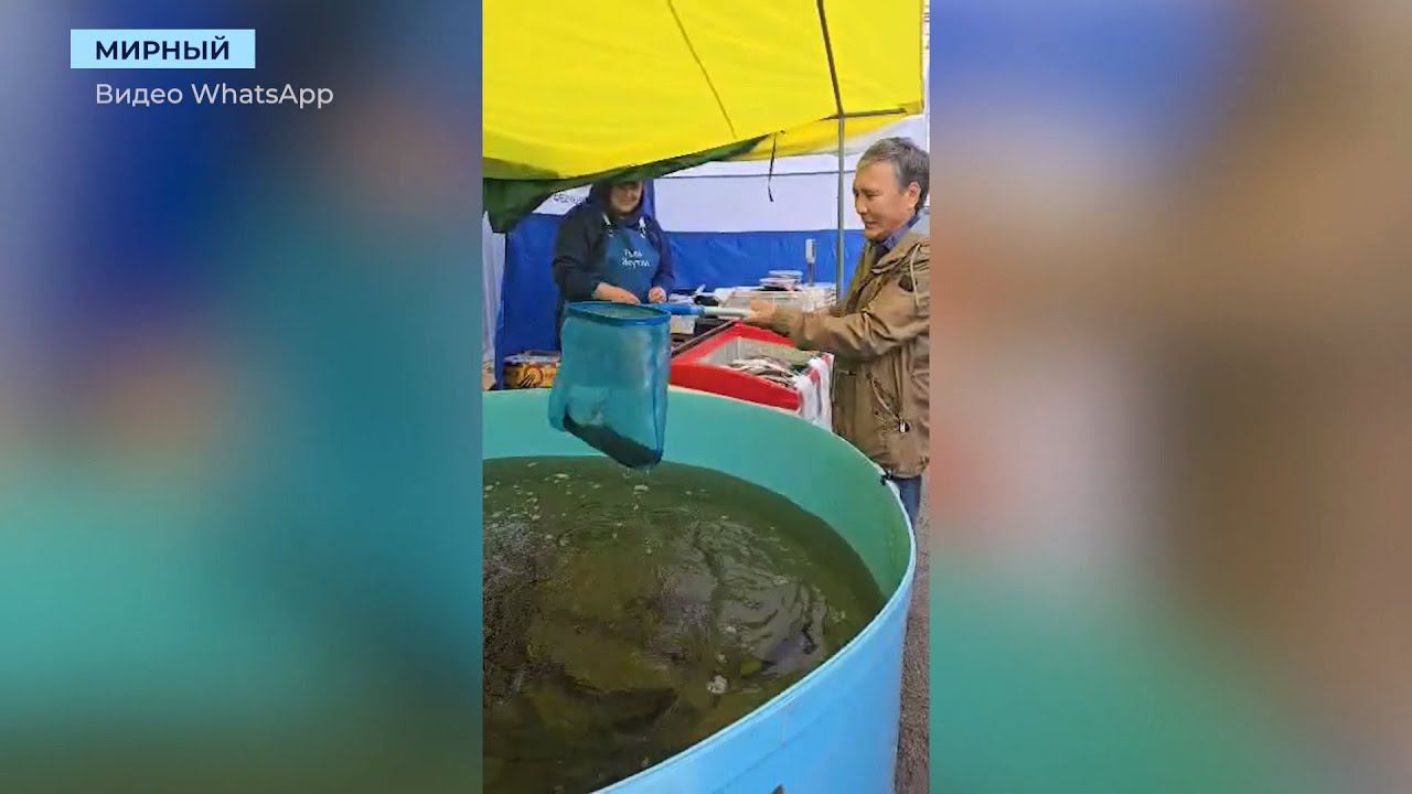 Мирницы ловили живую форель на ярмарке местной сельхозпродукции