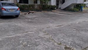4DRC F10 Pro Drone flight testing (tagalog)
