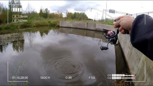Снова самодельный стеклянный спиннинг. Рыбалка в городе.