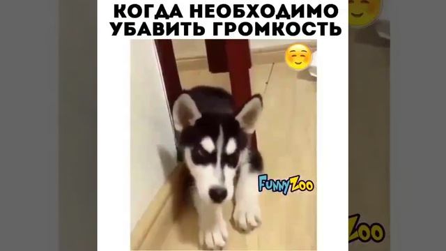 Включи 2 сделай потише