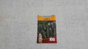 Сорта и гибриды огурцов проверенные на Урале. Описание и характеристика.