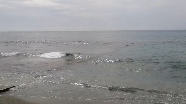 22 МАРТА МОРЕ МАХМУТЛАРА. ТУРЦИЯ 2023.