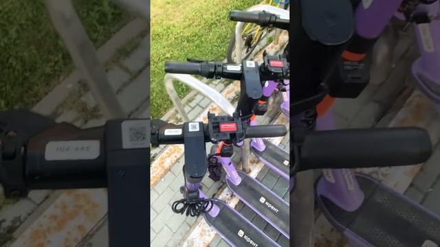 Как ездить бесплатно