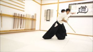 When Time Stops - Beautiful Aikido