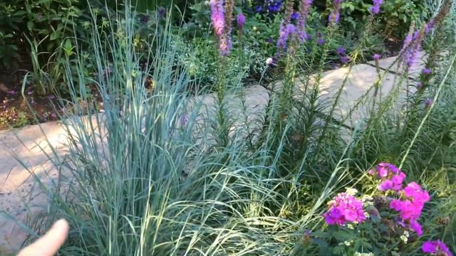 Создание миксбордера смотреть онлайн