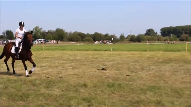 Открытый чемпионат Свердловской области по конному спорту смотреть онлайн