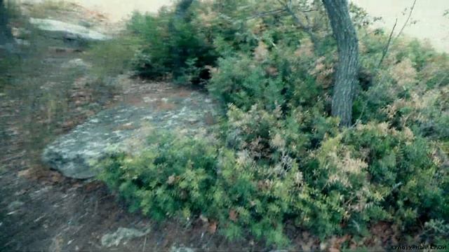 Как уничтожают памятники археологии в Крыму. Ящики Тавров. Древнейшее кладбище Крыма. Таврида. смотреть онлайн