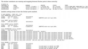 DevOps & SysAdmins: EC2 instance's Docker ports not not accessible after changing instance type